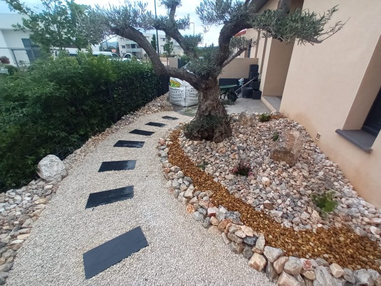 Taille olivier nuage et aménagement de jardin